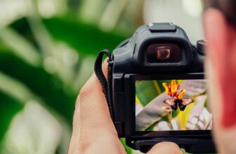 A Comprehensive Gear Guide for Cameras, Lenses, and Accessories