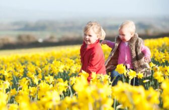 Family-Friendly Destinations and Activities Across UK
